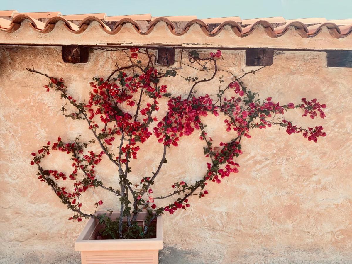 Homestay Eleni
