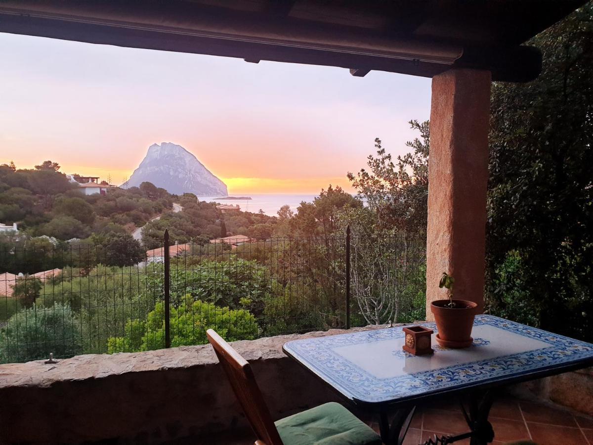 Eleni Homestay Costa Dorata